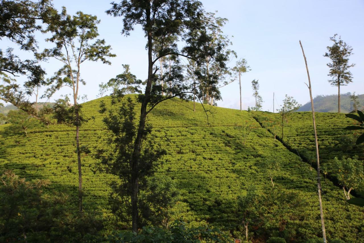 Hotel The Tea View Guest Ella Exterior foto